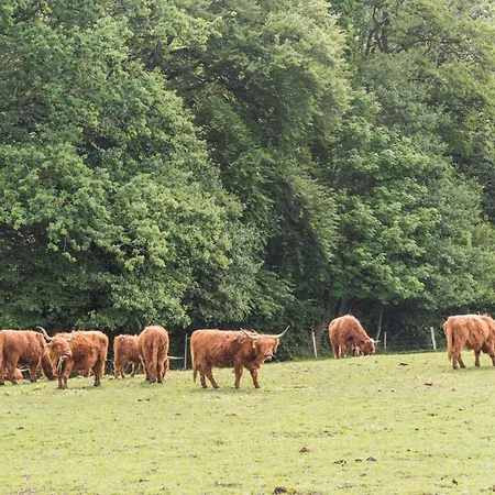 Awesome In With Sauna * Haderslev